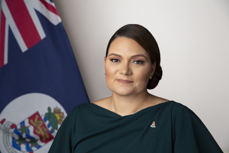 Parliamentary Secretary image